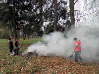 Kliknij, żeby powiększyć