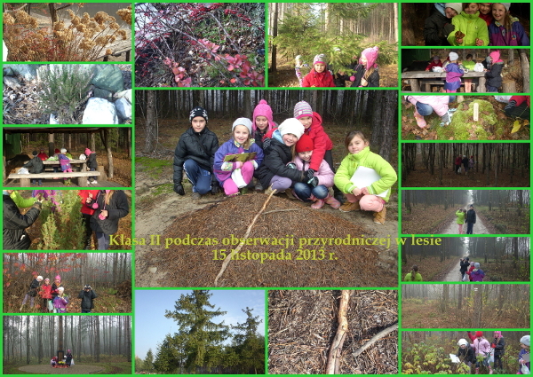 Kliknij, żeby powiększyć